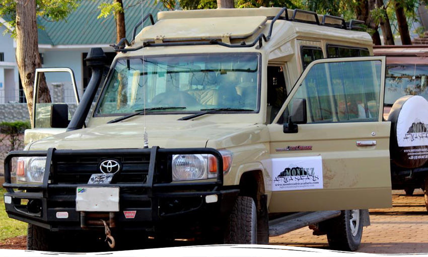 Land Cruiser